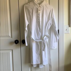 J. Crew Buttondown Shirtdress